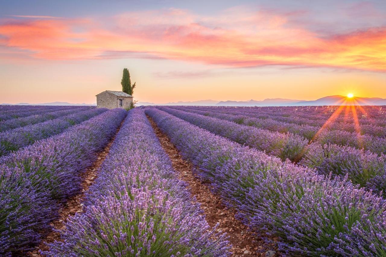 Provence Now Apartment Cabrières-dʼAvignon Екстериор снимка