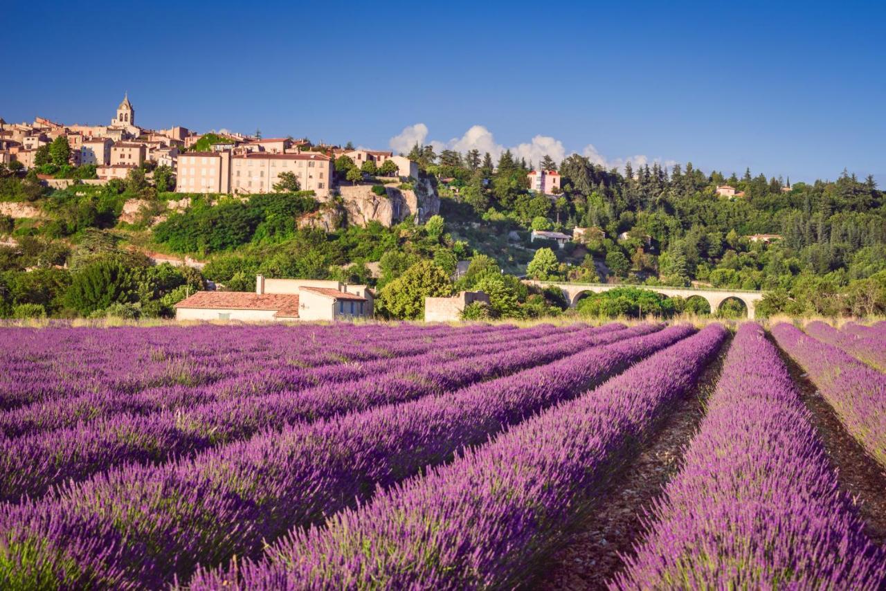 Provence Now Apartment Cabrières-dʼAvignon Екстериор снимка