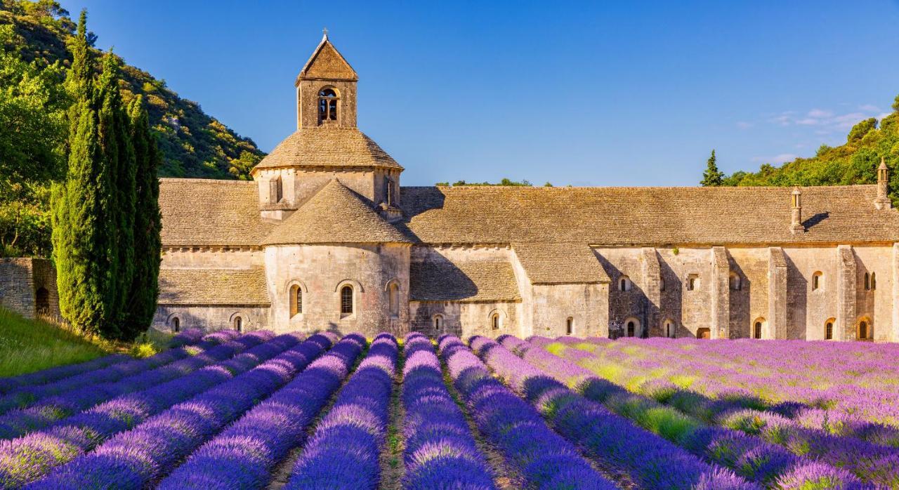 Provence Now Apartment Cabrières-dʼAvignon Екстериор снимка