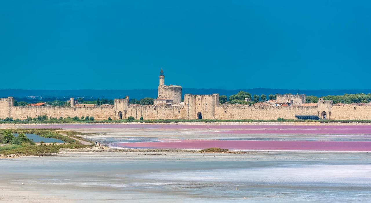 Provence Now Apartment Cabrières-dʼAvignon Екстериор снимка